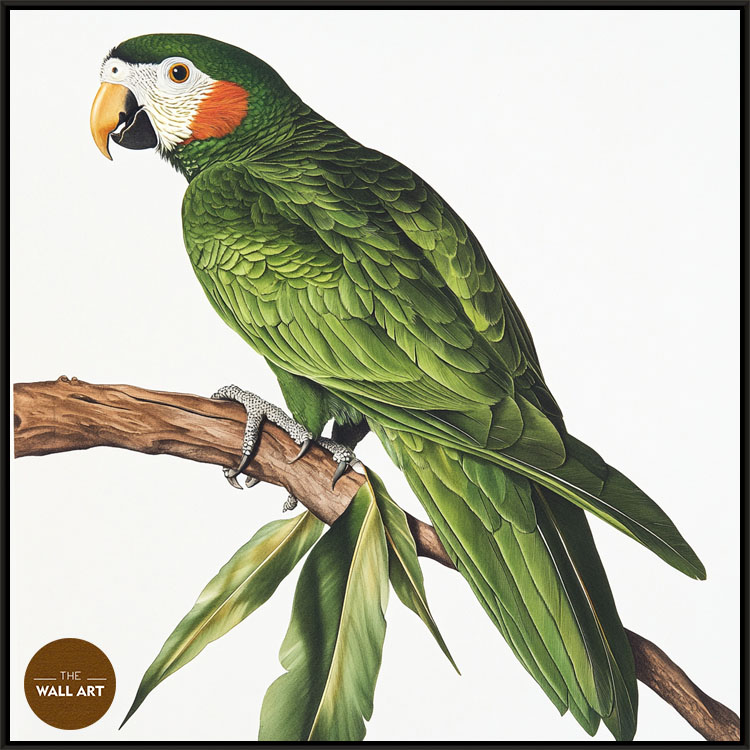 images/products/green_parrot_on_branch/green_parrot on branch_BLACK.jpg